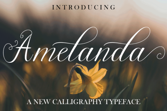 Amelanda: The Script Font for Elegant Branding