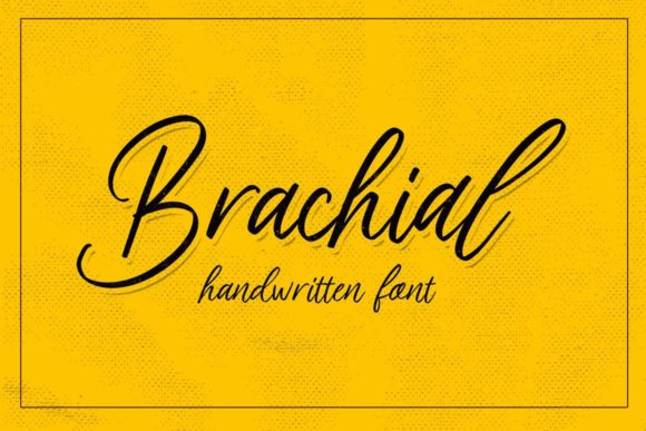 Brachial Typeface for Modern Web Design