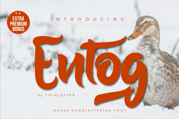 Entog Typeface for Bold Brand Identity