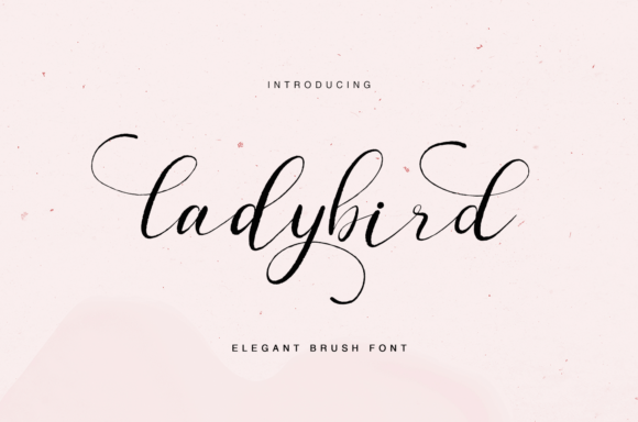 Ladybird: A Delicate Handwritten Font for Makers