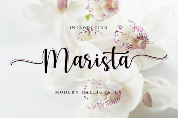 Marista: The Script Handwritten Font for Elegant Campaigns