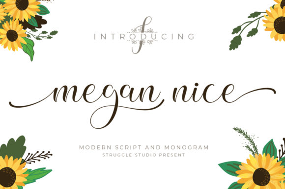 Megan Nice: A Timeless Script Handwritten Font for Branding