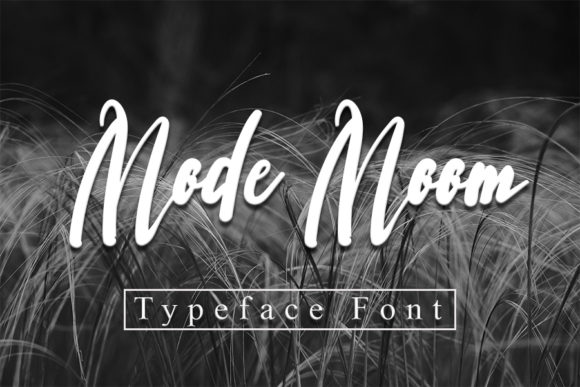Mode Moon Font for Scroll-Stopping Social Media