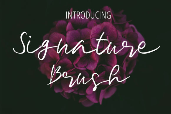 Signature Brush Font for Elegant Branding